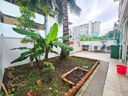 Lorong Lew Lian (D19), Semi-Detached #553306821